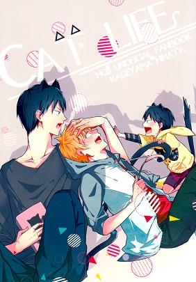 Haikyuu!! - Cat Life (Doujinshi)